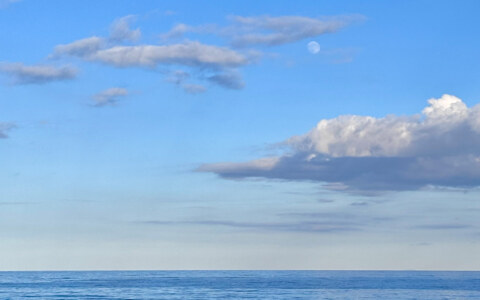 mare