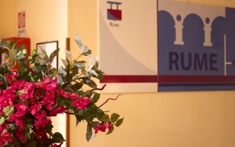 fiori 2
