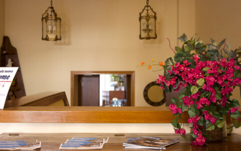 fiori 3
