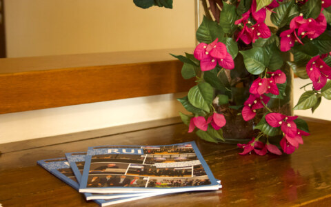 fiori 4